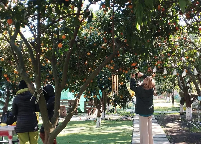 Pompei Villa Regina Boscoreale